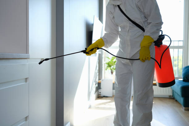 Real Estate Pest Inspections in Rohnert Park, CA